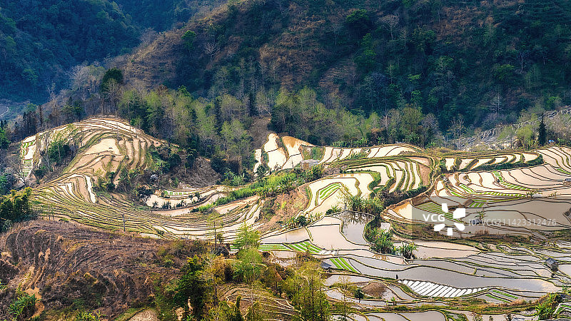多彩云南元阳梯田图片素材