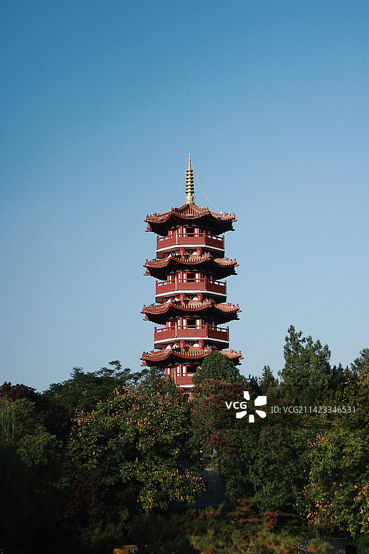 树林与苏公塔图片素材