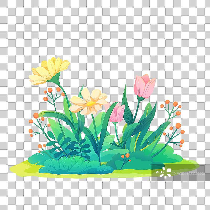 植物插画图片素材