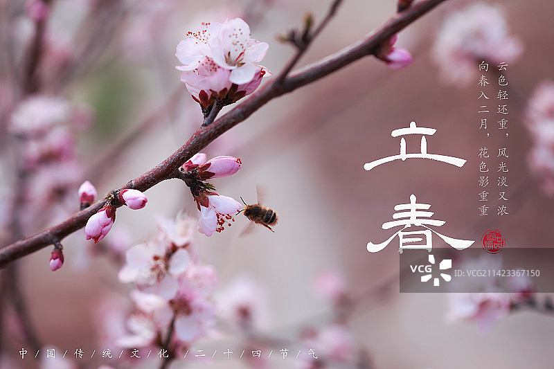 立春,二十四节气海报设计,传统文化图片素材