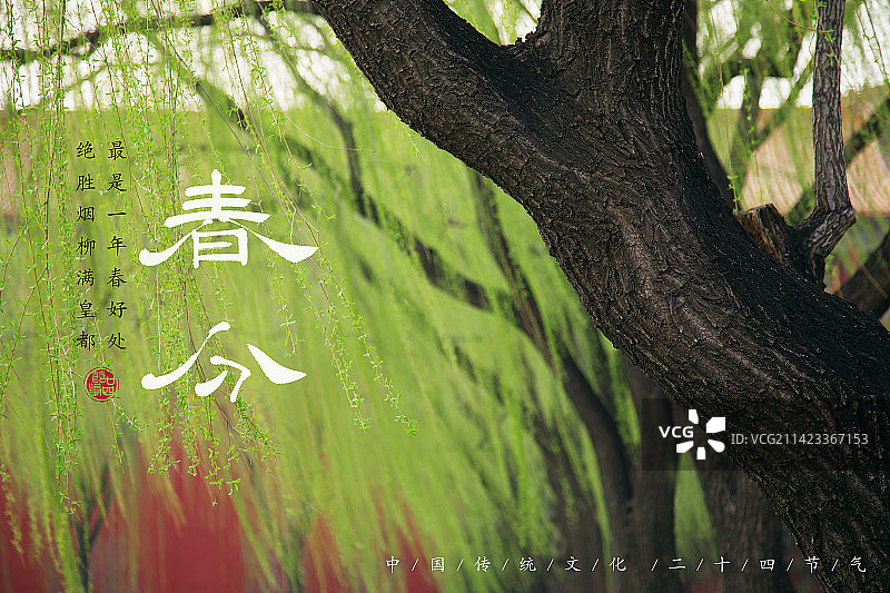 春分,二十四节气海报设计,传统文化图片素材