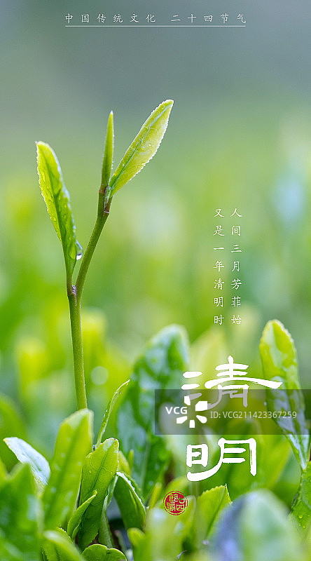 清明,二十四节气海报设计,传统文化图片素材