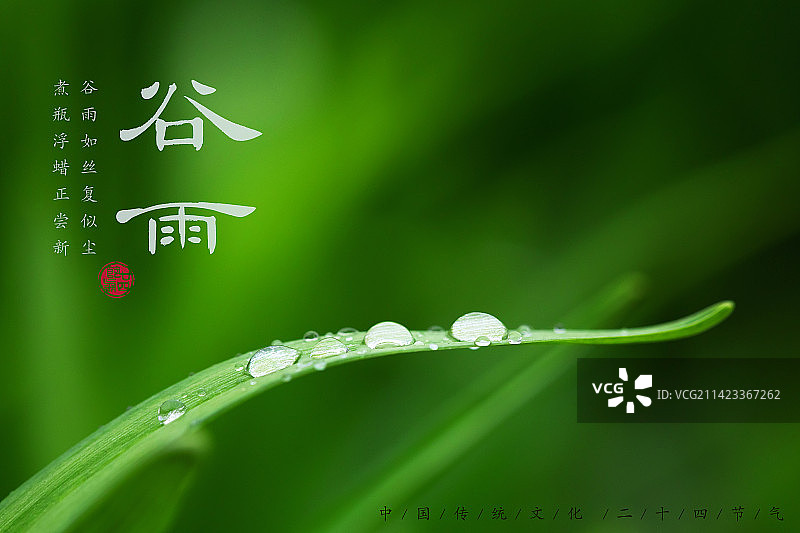 谷雨,二十四节气海报设计,传统文化图片素材