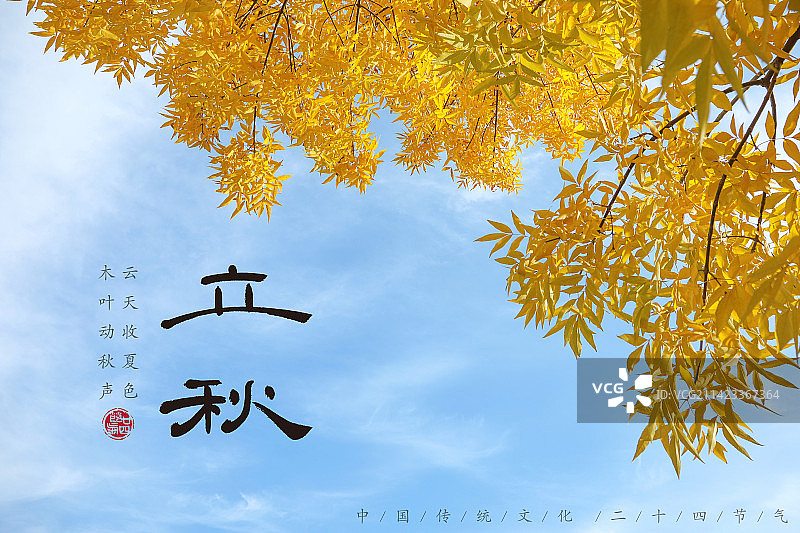 立秋,二十四节气海报设计,传统文化图片素材