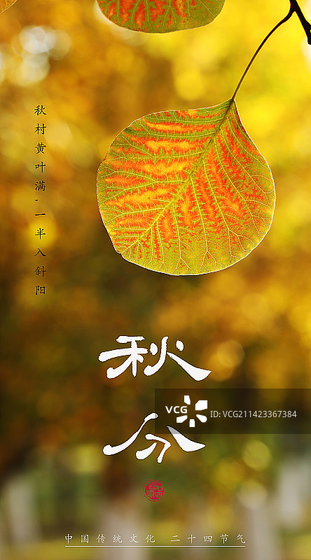 秋分,二十四节气海报设计,传统文化图片素材