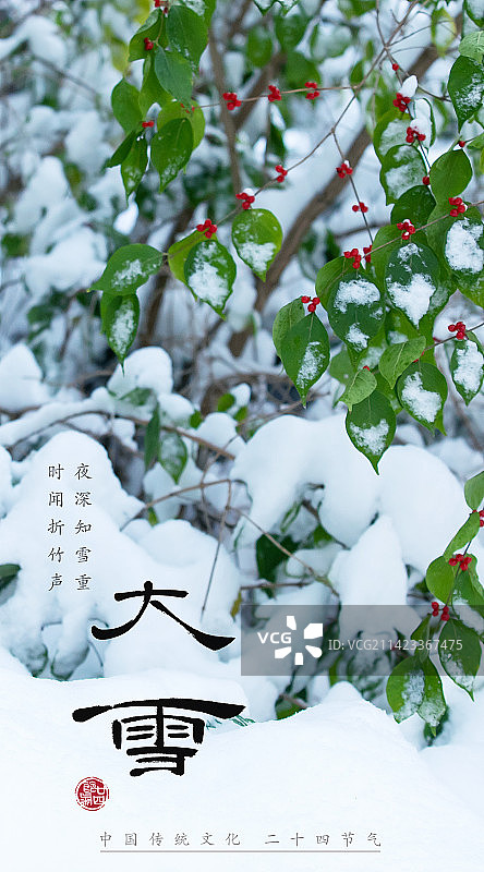 大雪,二十四节气海报设计,传统文化图片素材