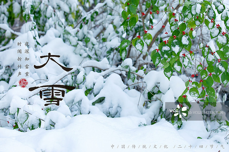 大雪,二十四节气海报设计,传统文化图片素材