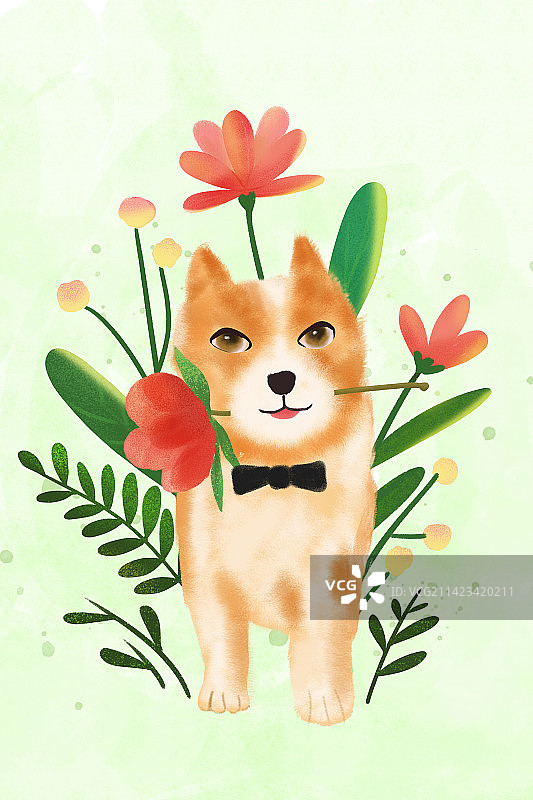 叼花的狗狗图片素材