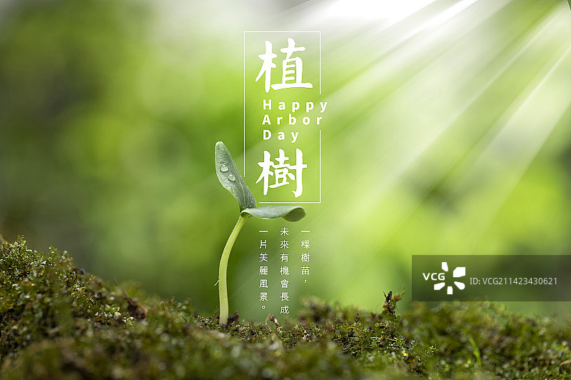 充满希望的植树节图片素材