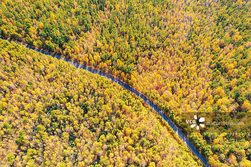 内蒙古呼伦贝尔市额尔古纳市莫尔道嘎国家森林公园大兴安岭林区与公路秋季户外航拍鸟瞰图图片素材