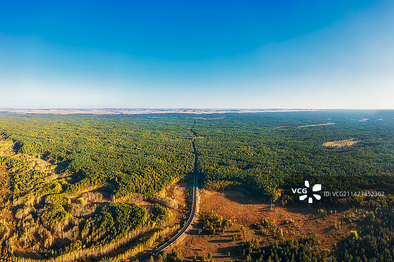 内蒙古呼伦贝尔市鄂温克族自治旗辉河林场秋季户外风光航拍视角图片素材