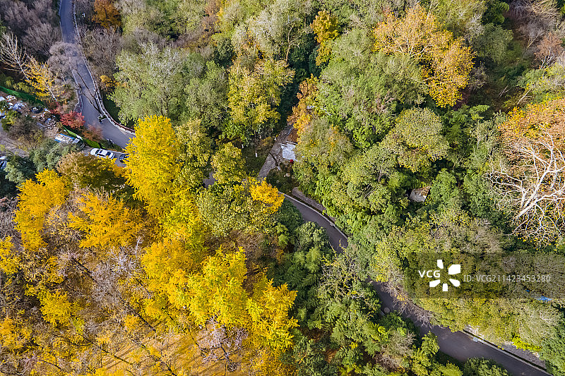 航拍南京清凉山的秋色图片素材