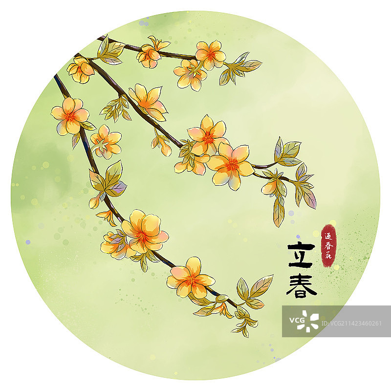立春节气迎春花插画设计海报图片素材