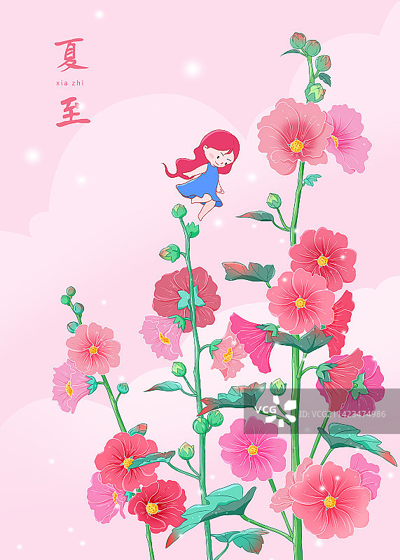 小清新二十四节气蜀葵-夏至图片素材