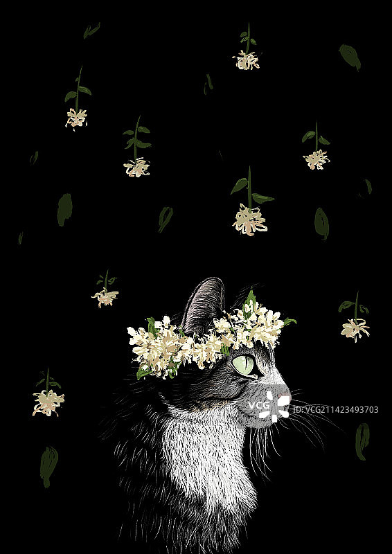 黑暗中戴花环的猫图片素材