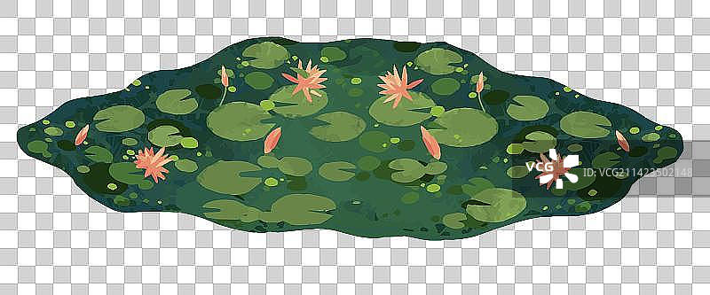 元素绿色池塘里的荷花夏天图片素材