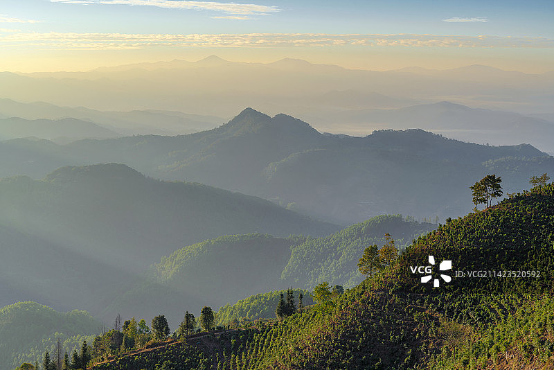 云南临沧勐库茶山图片素材