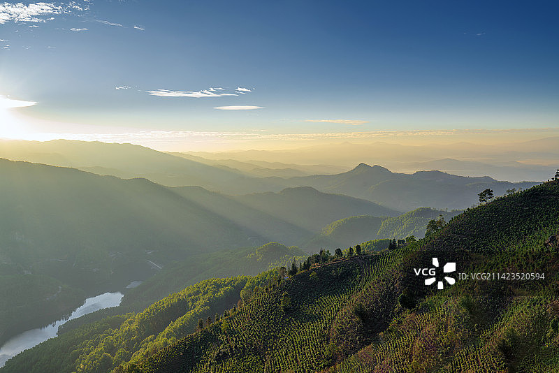 云南临沧勐库茶山图片素材