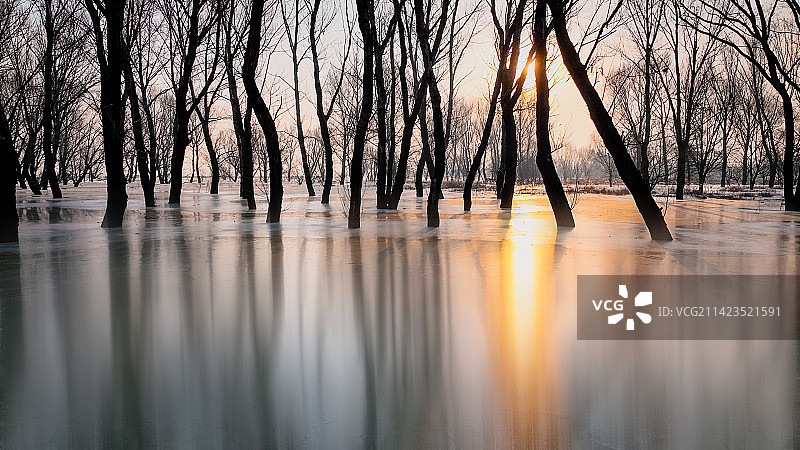 长治市漳泽湖湿地，冰雪。图片素材