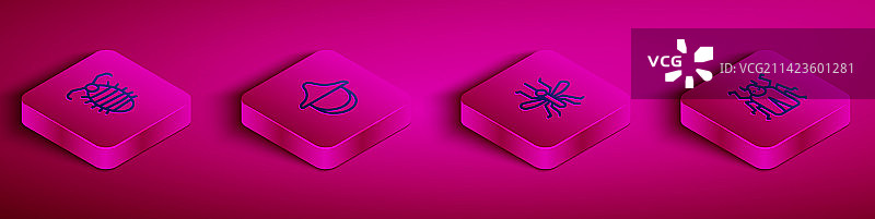 2.5D线条昆虫幼虫养蜂人帽子图片素材