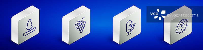 2.5D树葡萄水果小鸡线条集图片素材