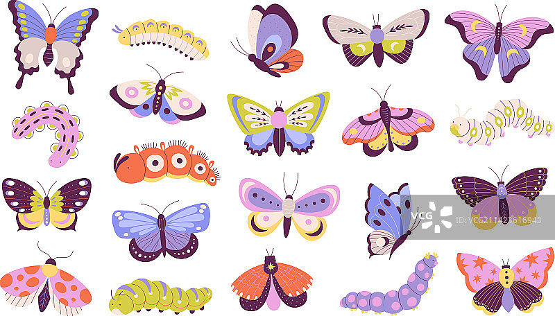 彩色涂鸦蝴蝶和毛毛虫蛾子图片素材