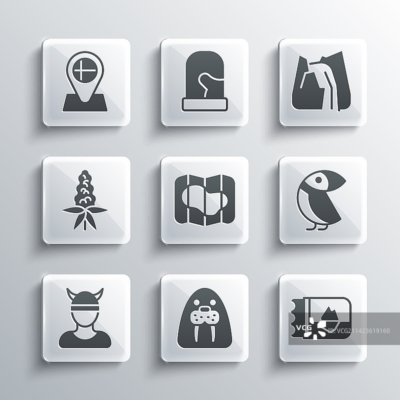 海象、动物、冰岛票据和信天翁图片素材