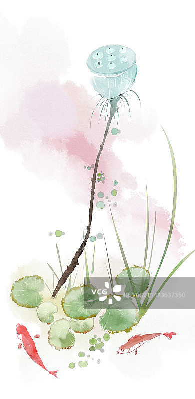 水彩莲蓬鲤鱼插画图片素材
