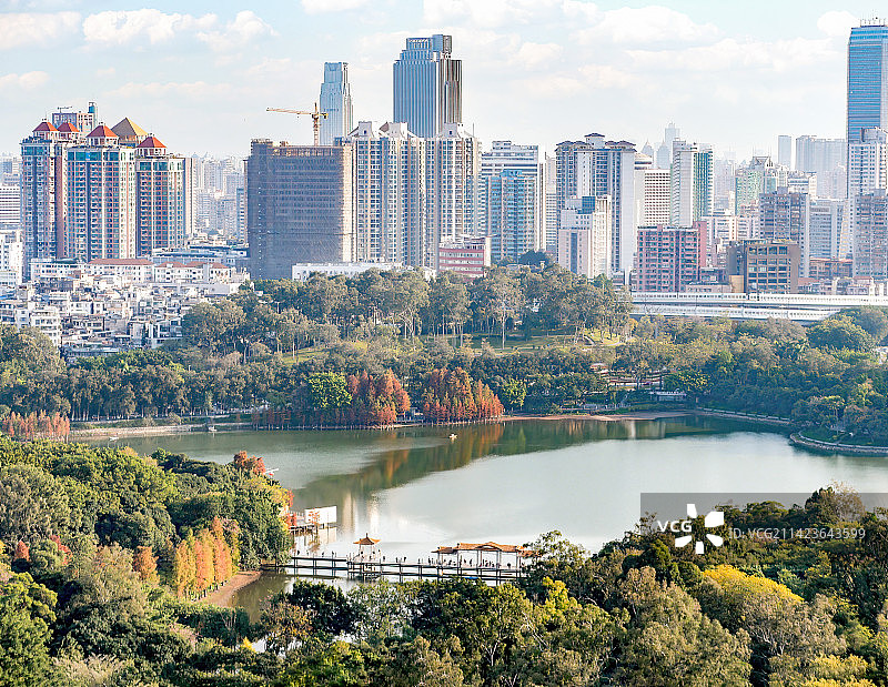 城市公园绿地高楼湖泊河流森林小桥绿色生态文明城市广州岭南羊城越秀区环市东路麓湖公园高楼科技金融大厦图片素材
