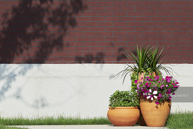 红墙下的花饰图片素材