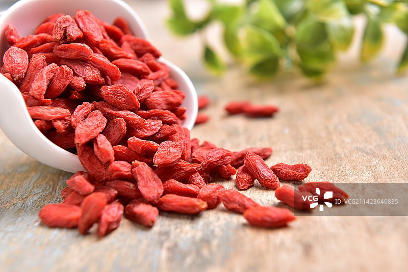 枸杞  浆果  养生  静物摄影图片素材