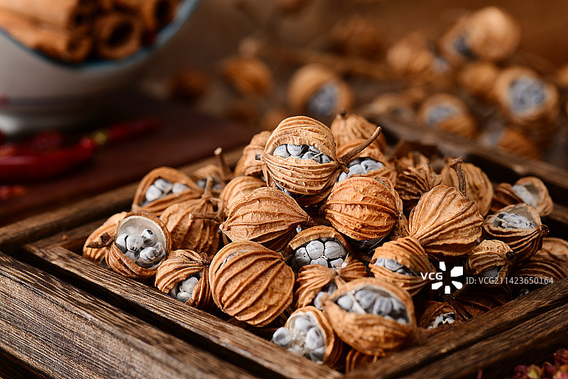 香砂仁图片素材