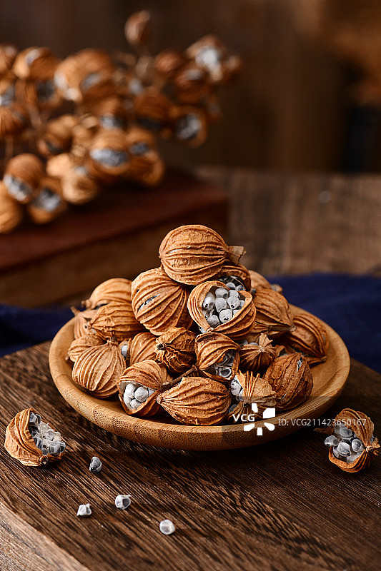 香砂仁图片素材