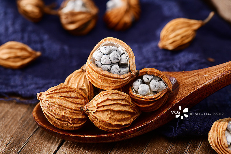 香砂仁图片素材