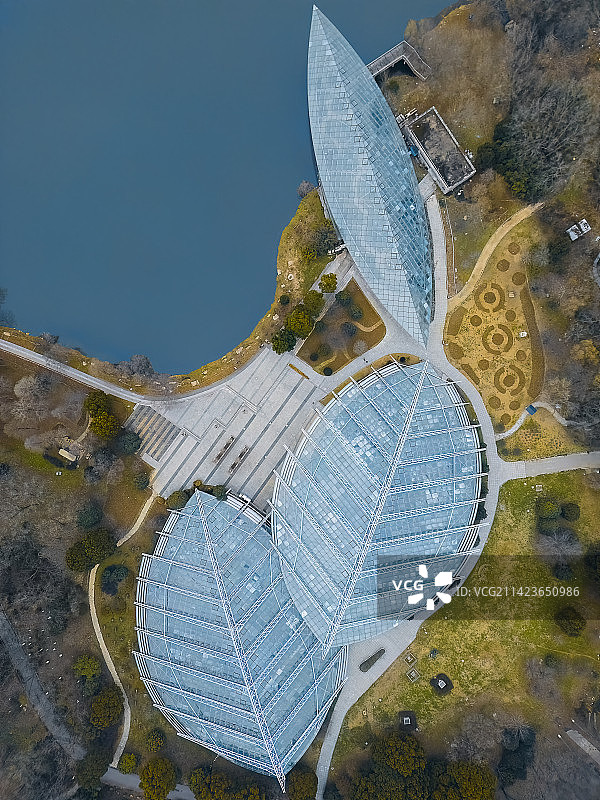 树叶状的植物园图片素材