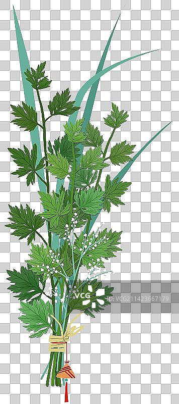 艾草菖蒲花束图片素材
