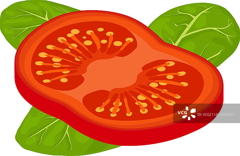 2.5D沙拉食材图标，新鲜红色图片素材