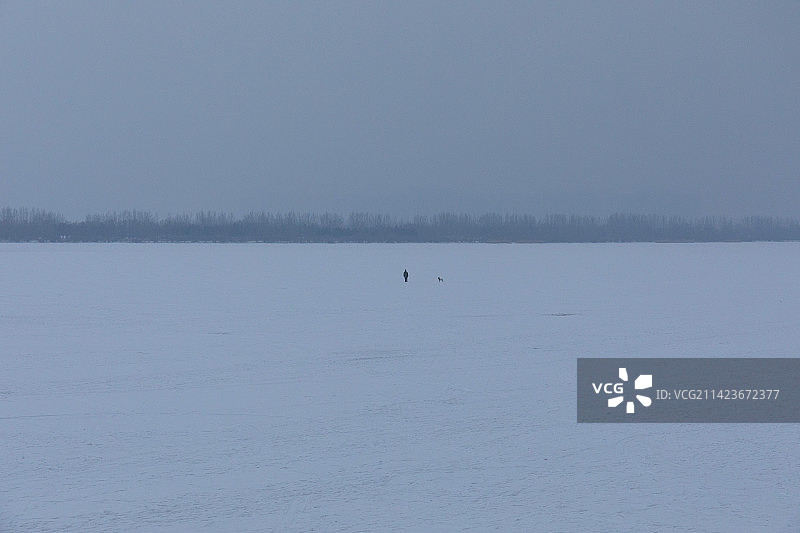 冬天哈尔滨松花江上冰天雪地里孤独的人和狗图片素材
