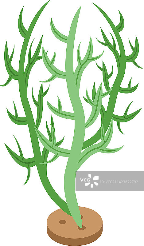 2.5D海洋植物图标，海洋花朵图片素材