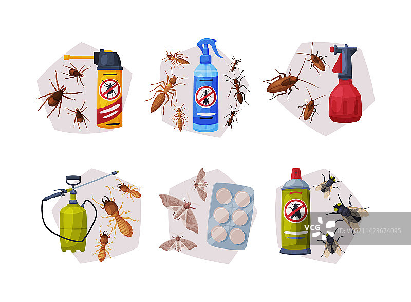 虫害防治和昆虫灭杀服务图片素材