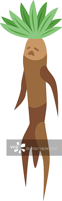 绿色叶子的曼德拉草植物图标2.5D图片素材