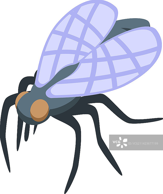 2.5D生物昆虫飞虫图标图片素材