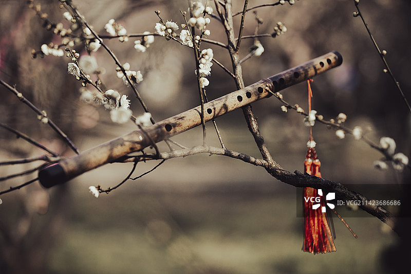梅花和竹笛图片素材