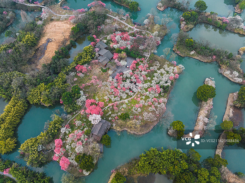 西溪湿地的春天图片素材