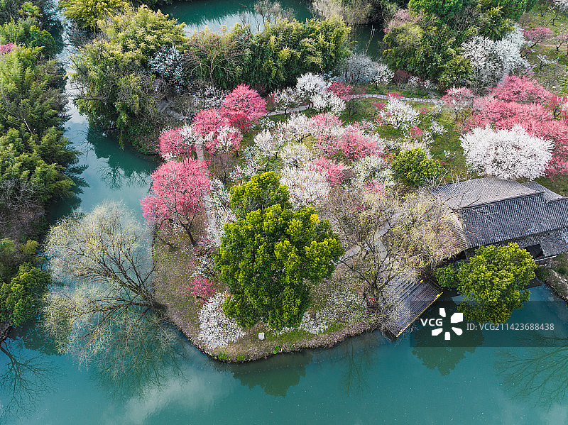 西溪湿地的春天图片素材