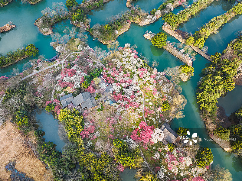 西溪湿地的春天图片素材