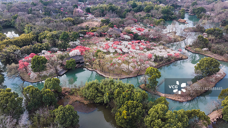 西溪湿地的春天图片素材