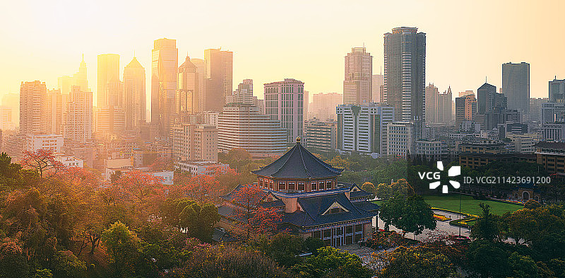 中山纪念堂的木棉花图片素材