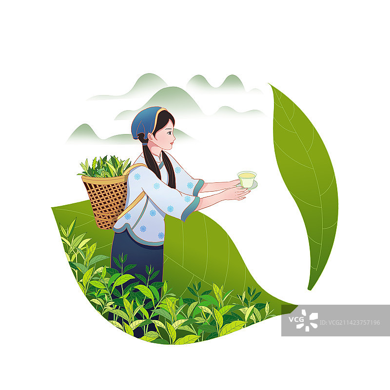 采茶女端着茶杯敬茶图片素材