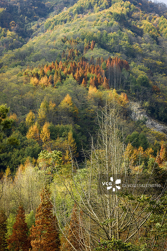 四川阿坝藏族羌族自治州汶川县耿达秋色图片素材